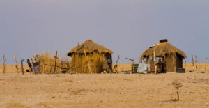 Foto safari Botswana 2017