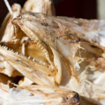 Fotoexpedice Lofoty 2018