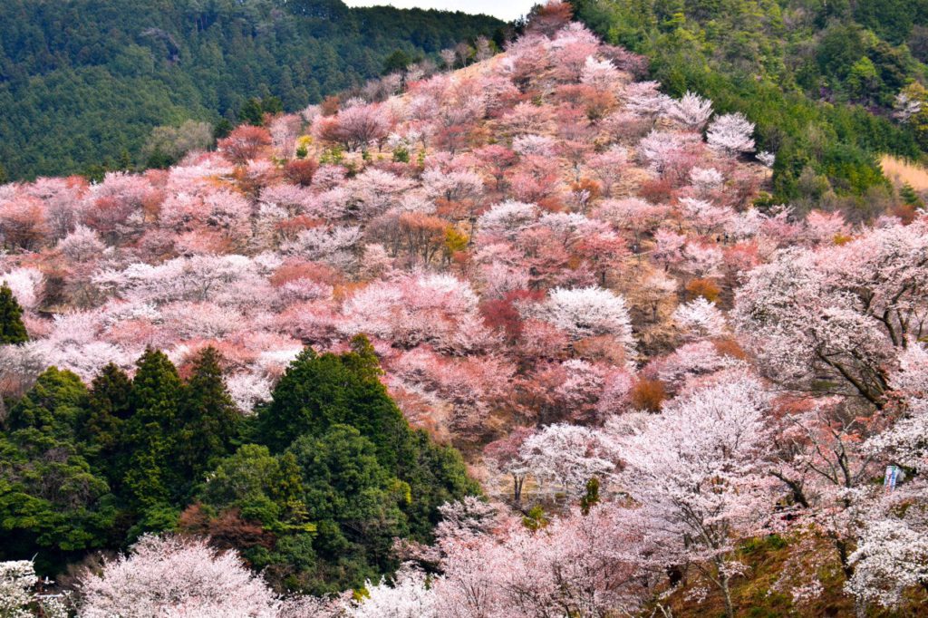Fotoexpedice Japonsko 2019