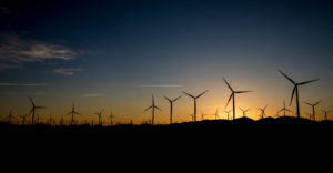 Fotoexpedice Kalifornie