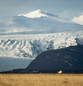 Fotoexpedice Zimní Island 2019