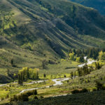 Fotoexpedice Yellowstone 2020