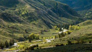 Fotoexpedice Yellowstone 2020