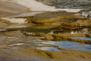 Fotoexpedice Yellowstone 2020