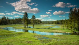 Fotoexpedice Yellowstone 2020