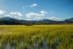 Fotoexpedice Yellowstone 2020