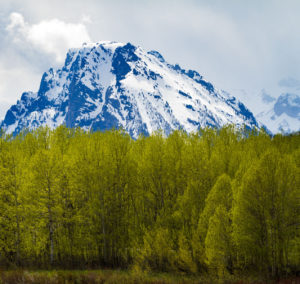 Fotoexpedice Yellowstone 2020