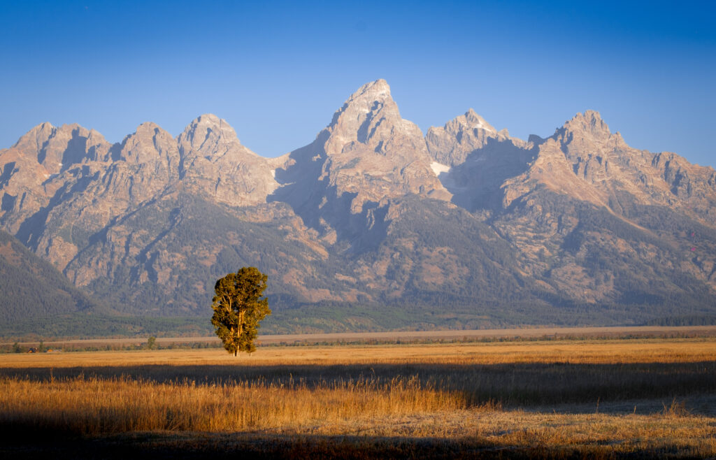 Grand Teton