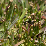 Jižní Portugalsko 2025