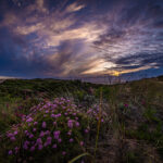 Jižní Portugalsko 2026