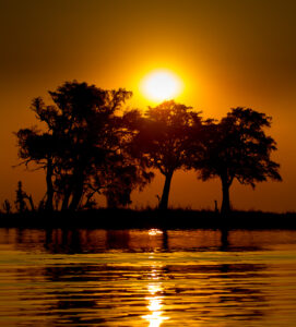 Afrika 2025