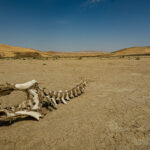 Ázerbájdžán 2026