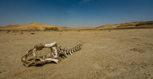 Ázerbájdžán 2026