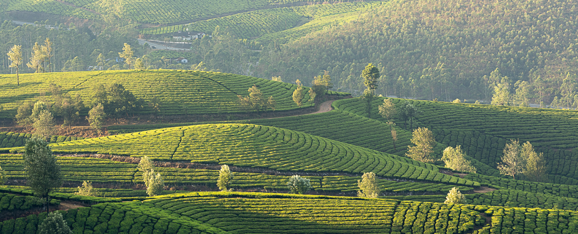 Expedice Kerala 2027